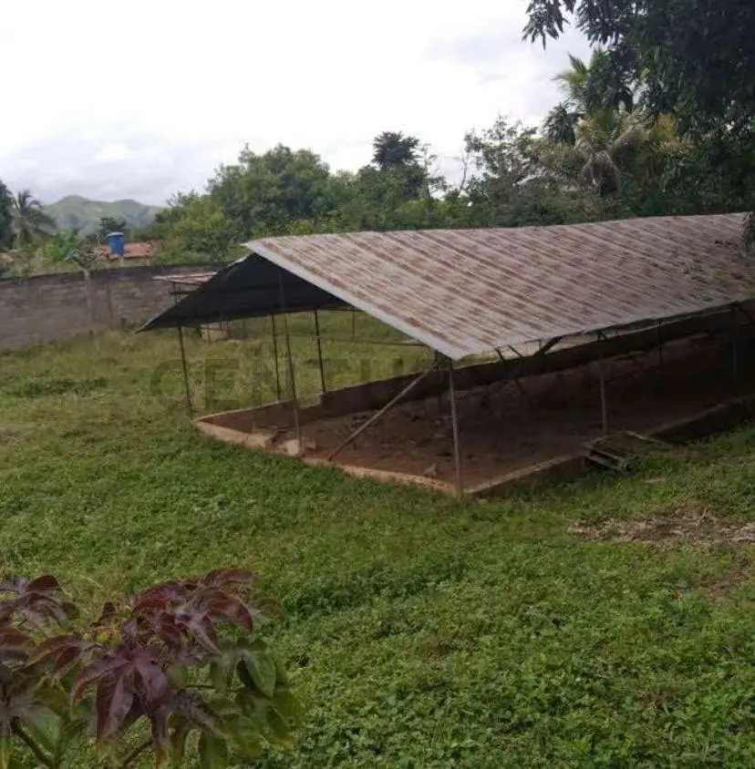 Mini Finca en venta - 9