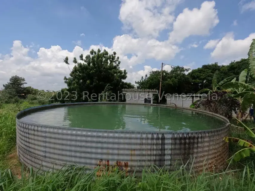 Terreno (Finca) en Venta en Municipio Peña, Yaracuy - 18