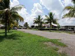 Vista 19