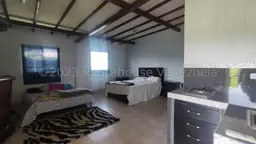 Vista 27