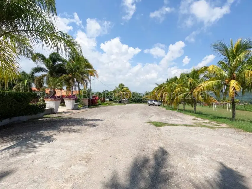Terreno (Finca) en Venta en Municipio Peña, Yaracuy - 39