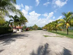 Vista 39