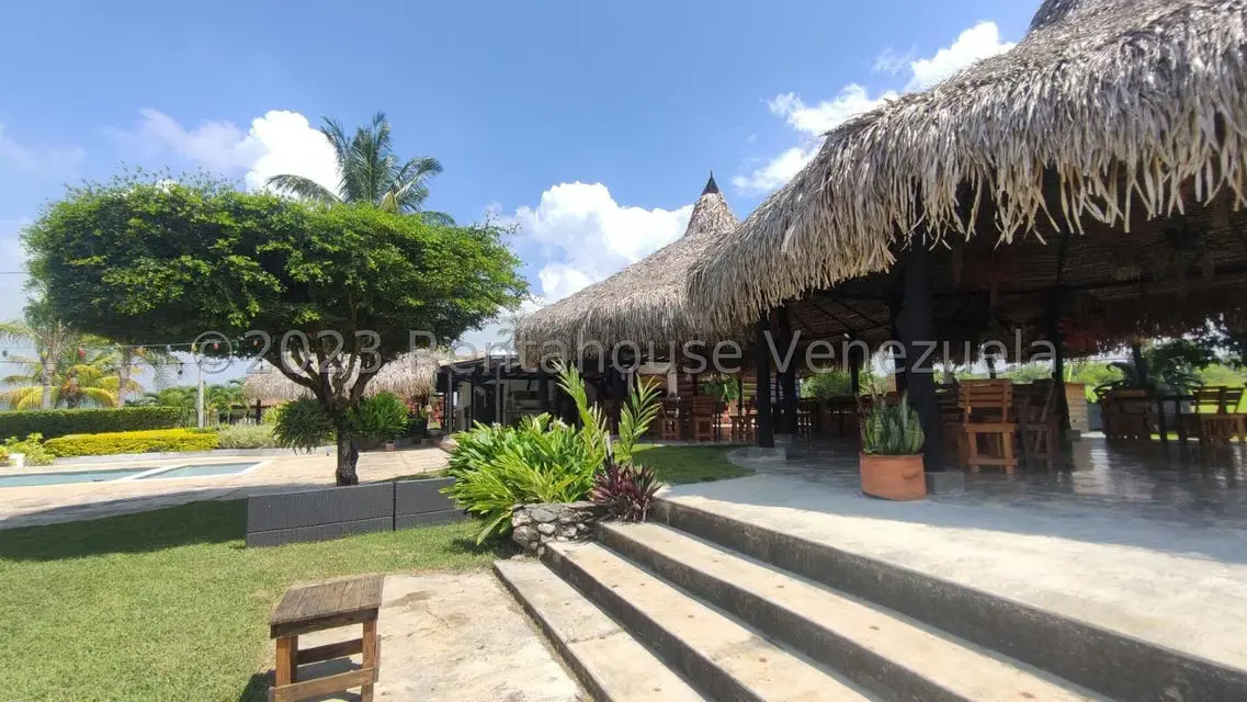 Terreno (Finca) en Venta en Municipio Peña, Yaracuy - 42