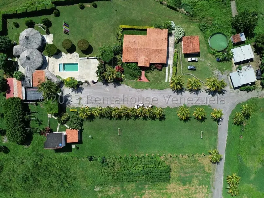 Terreno (Finca) en Venta en Municipio Peña, Yaracuy - 86