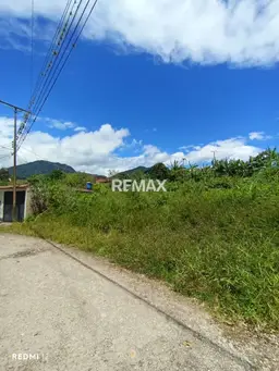 Vista 4