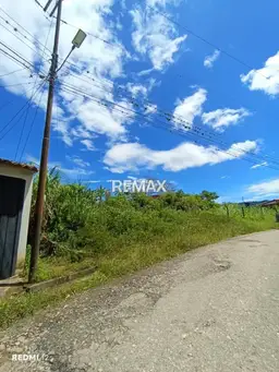 Vista 5