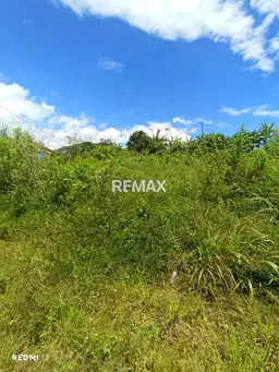 Vista 6