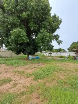 View 5