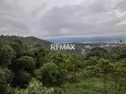 Vista 12