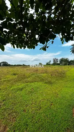 Vista 13