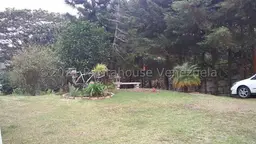 Vista 16