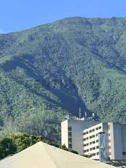 Vista 5