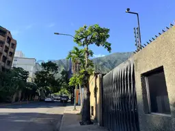 Vista 6
