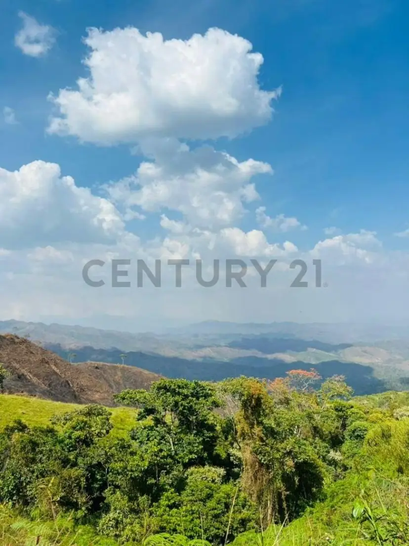 Finca AGROINDUSTRIAL Nirgua