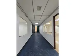 Vista 4
