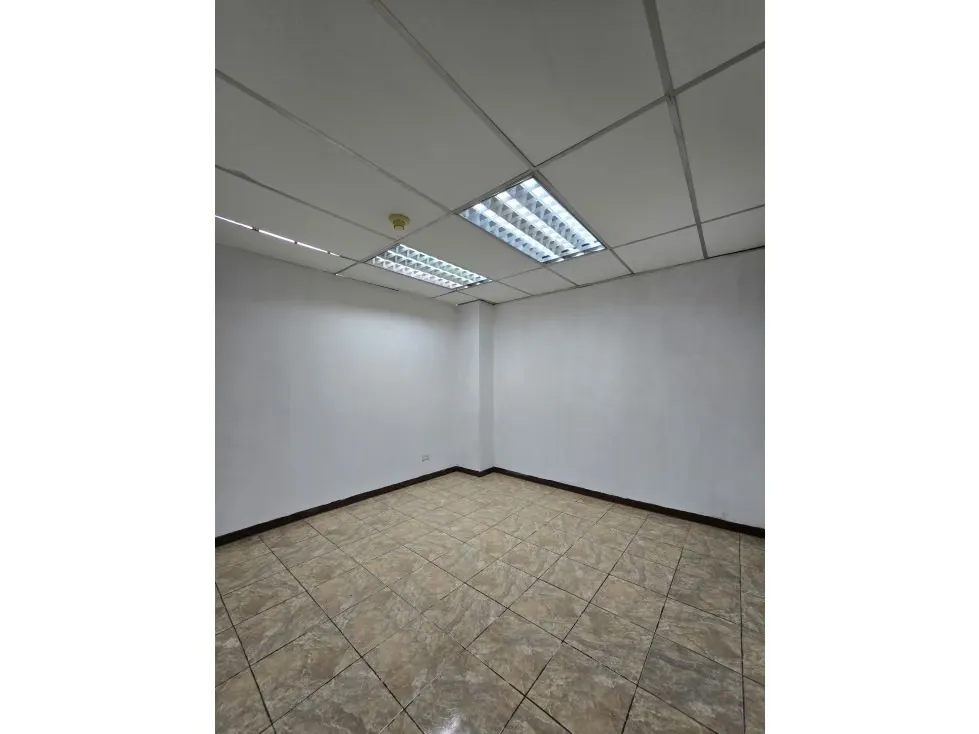 PISO INDUSTRIAL EN ALQUILER 377 M2- URB LEBRUN - 5