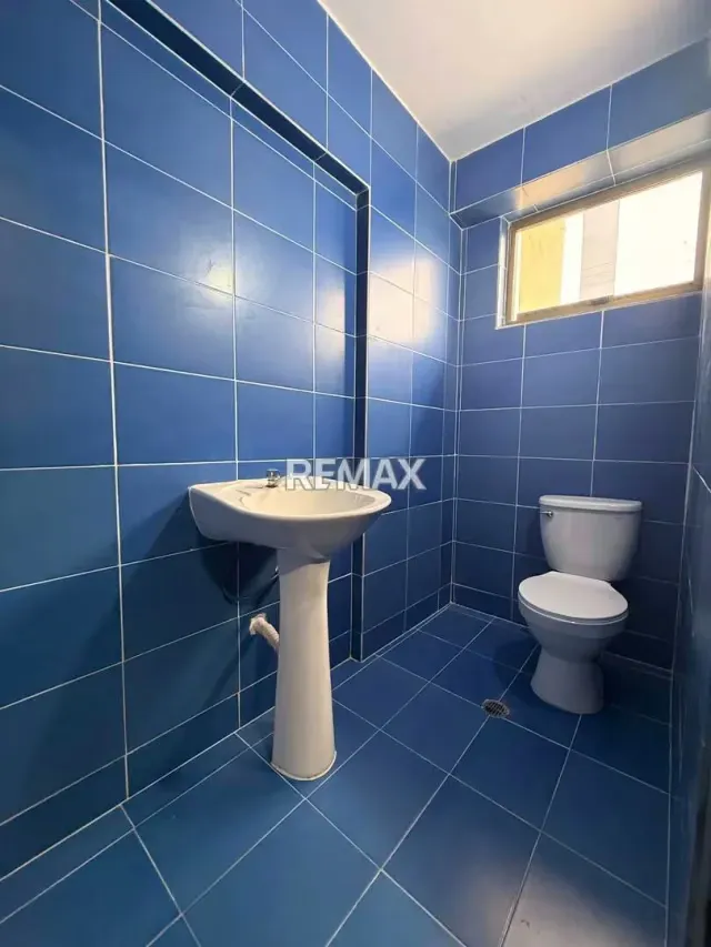 Alquiler de Local Comercial en Plena Av Lara de 350m2 - 11