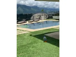 View 15
