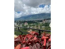 View 25