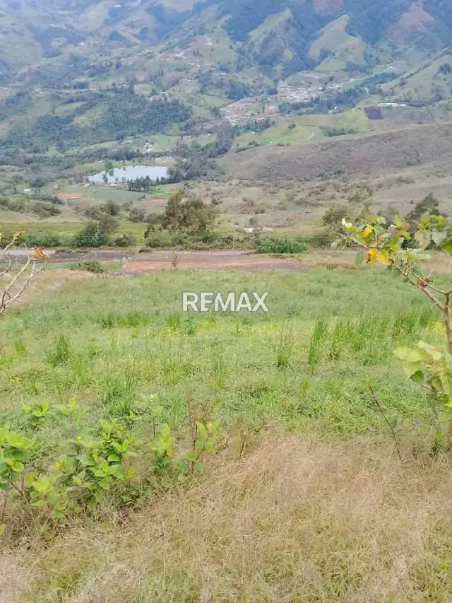 TERRENO EN VENTA EN LA GRITA