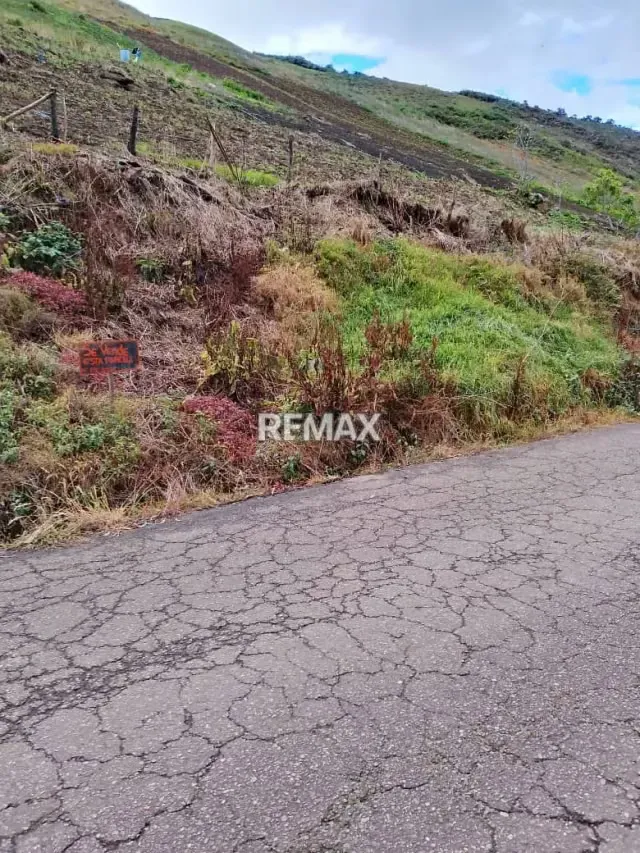 TERRENO EN VENTA EN LA GRITA - 4