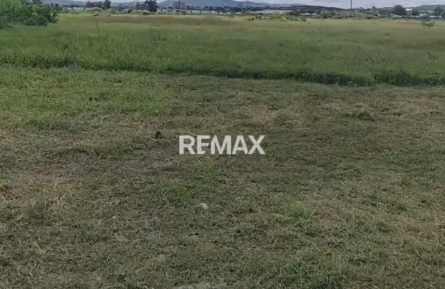 TERRENO EN VENTA LOTE 1 AVENIDA RIBEREÑA PALAVECINO ESTADO LARA