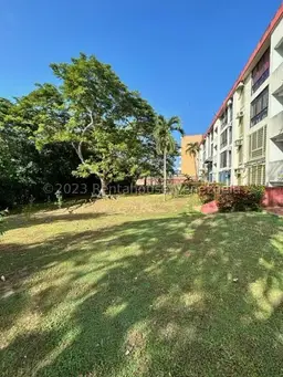 Vista 14
