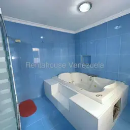 Vista 31