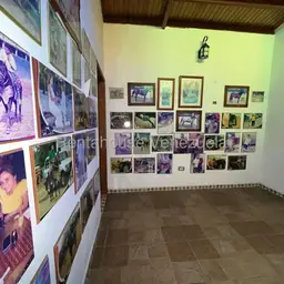Vista 50