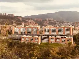 View 49
