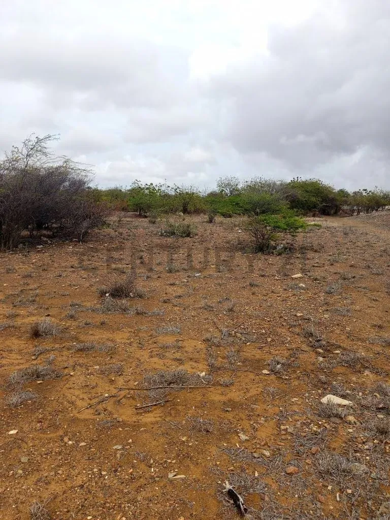 Terreno av. Juan Bautista Arismendi, Isla de Margarita