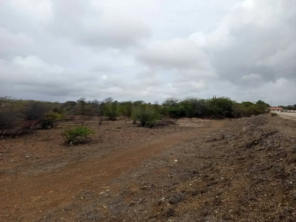 Terreno av. Juan Bautista Arismendi, Isla de Margarita - 11