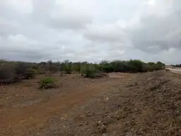 Vista 11
