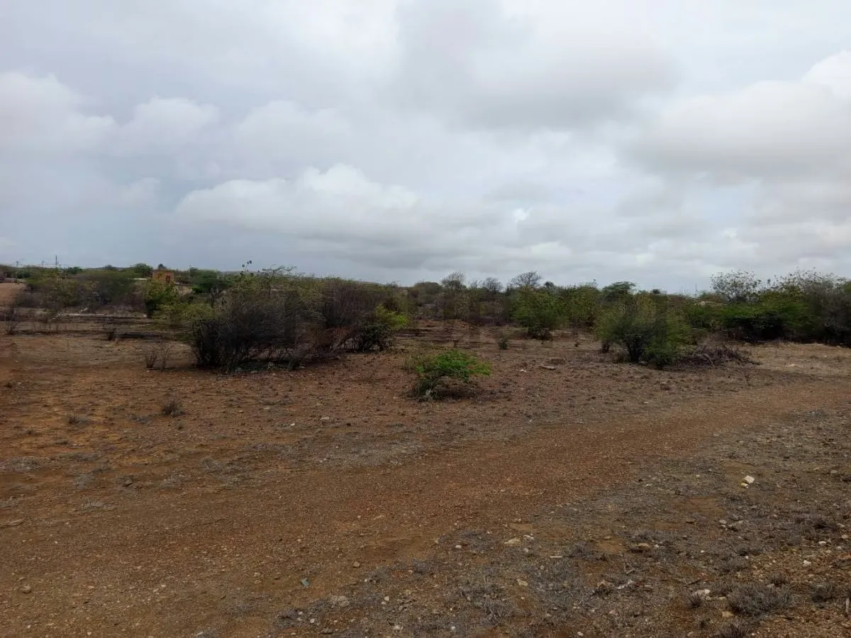 Terreno av. Juan Bautista Arismendi, Isla de Margarita - 12