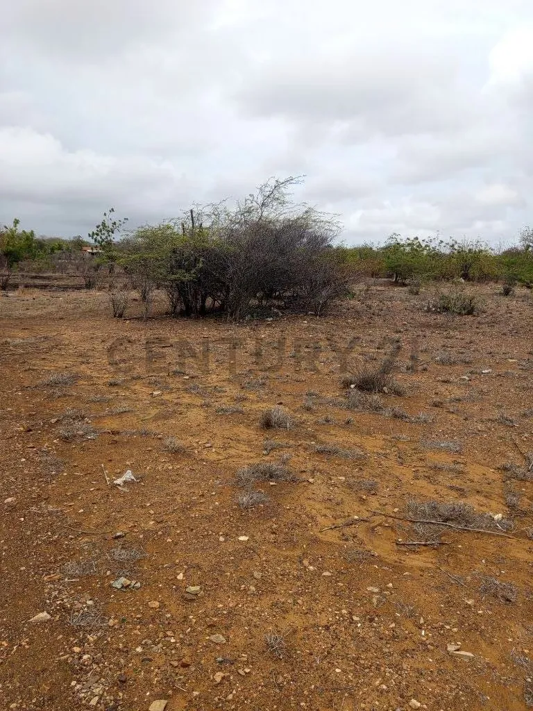 Terreno av. Juan Bautista Arismendi, Isla de Margarita - 13