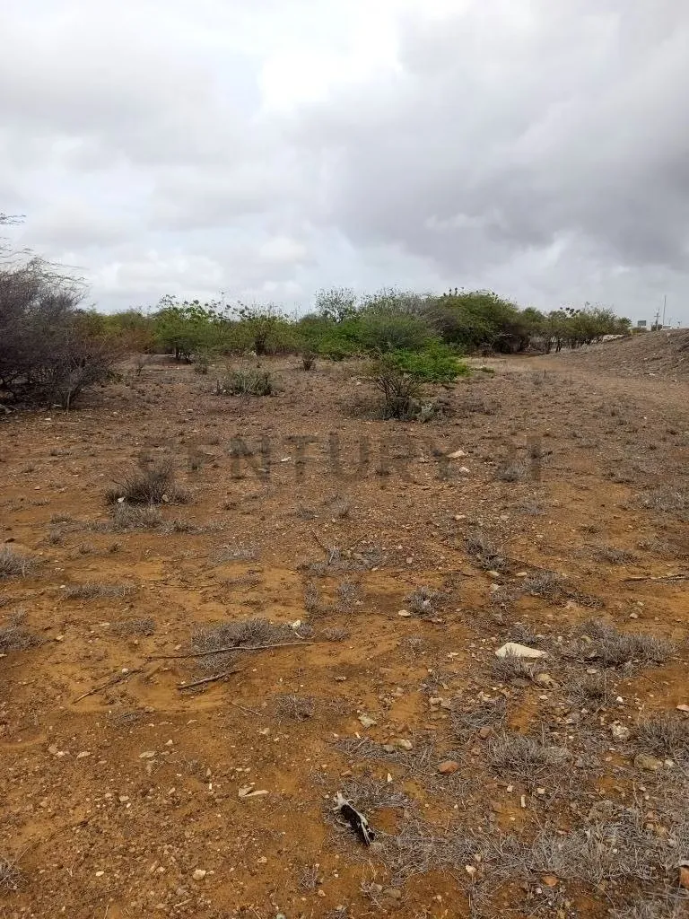 Terreno av. Juan Bautista Arismendi, Isla de Margarita - 2