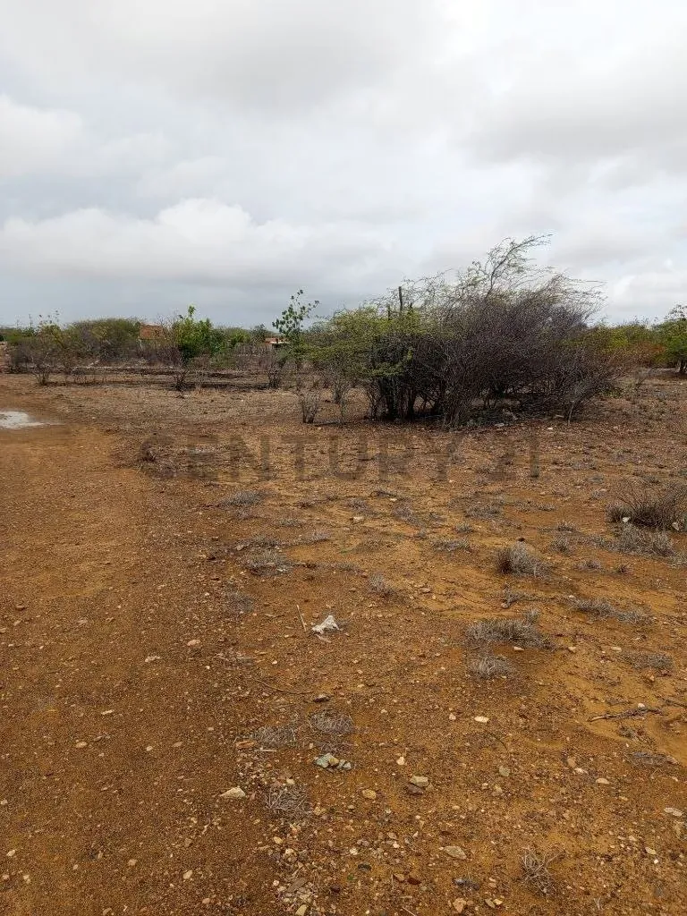 Terreno av. Juan Bautista Arismendi, Isla de Margarita - 4