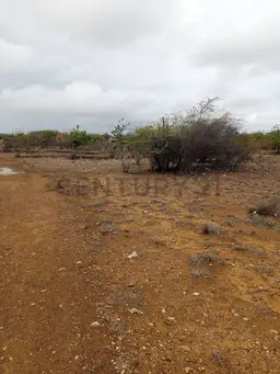 Vista 4