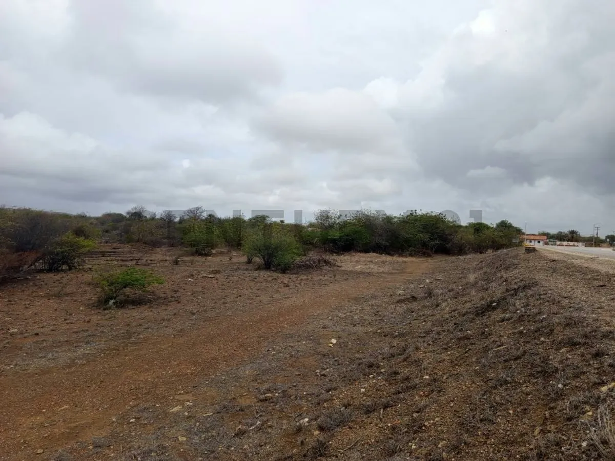 Terreno av. Juan Bautista Arismendi, Isla de Margarita - 5