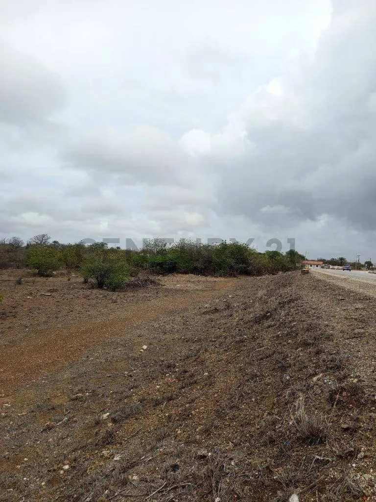 Terreno av. Juan Bautista Arismendi, Isla de Margarita - 7