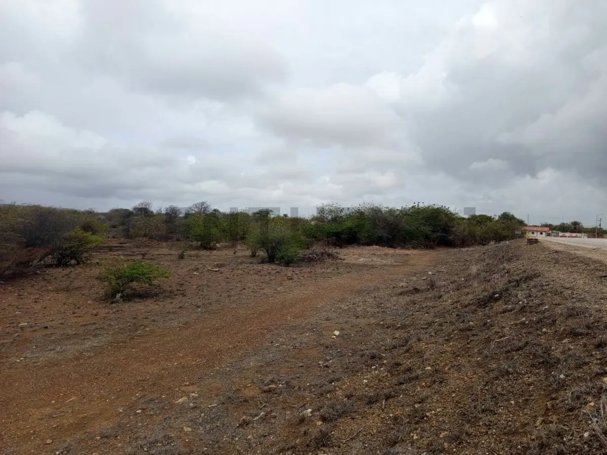 Terreno av. Juan Bautista Arismendi, Isla de Margarita - 10