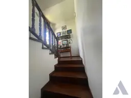 Vista 12