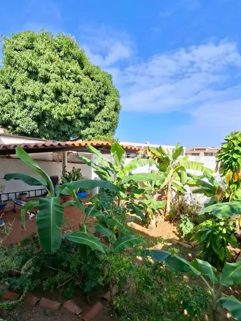 EN VENTA AMPLIA CASA EN LA URB. SABANAMAR - 19