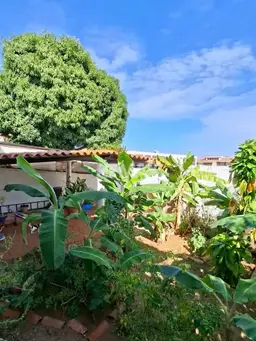 Vista 19