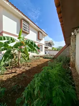 Vista 20