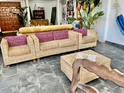 Vista 20