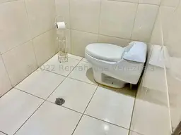Vista 50