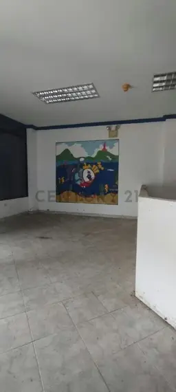 Vista 5