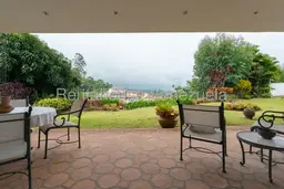 View 15