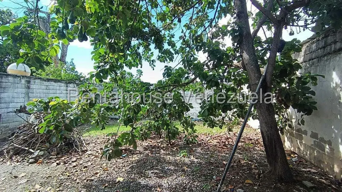 Comercial (Local Comercial) en Venta en La Mata, Lara - 12